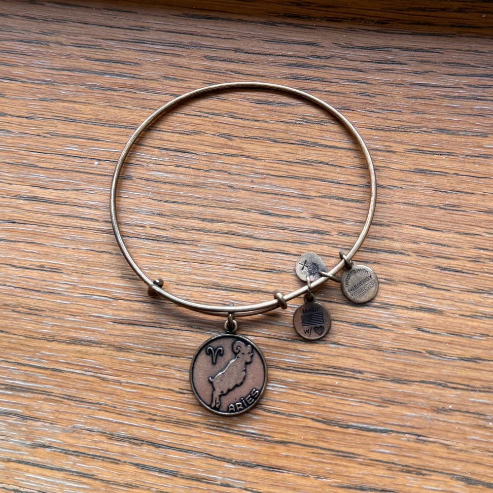 Alex and Ani Aries bracelet